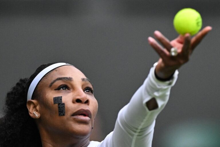 Lee más sobre el artículo Serena Williams ejemplar
